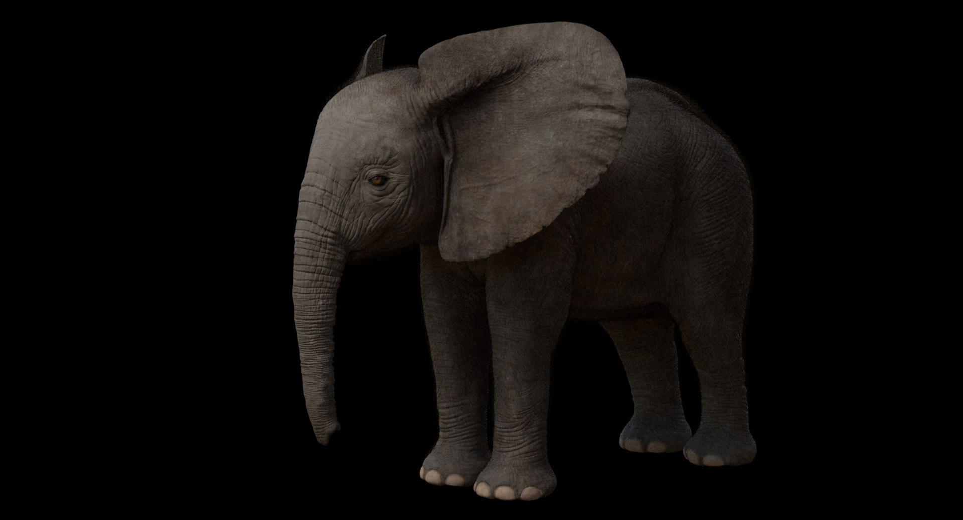 3d model african elephant baby rigged https://p.turbosquid.com/ts-thumb/DV/8aZqCI/qTuvGstW/shots00006/jpg/1450687980/1920x1080/fit_q87/490da36249c4641994ec763c25a294a891461299/shots00006.jpg