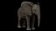 Bebê de elefante africano costurado