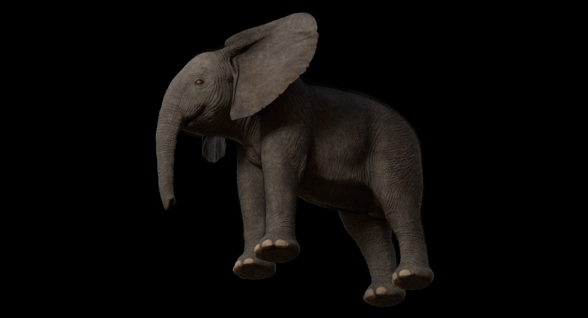 3d model african elephant baby rigged https://p.turbosquid.com/ts-thumb/DV/8aZqCI/vK7XLFhS/shots00008/jpg/1450687980/1920x1080/fit_q87/0ed90fa1cc75f629c7de8210058e614e1dd53fb3/shots00008.jpg