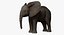 Bebê de elefante africano costurado