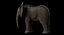 Bebê de elefante africano costurado
