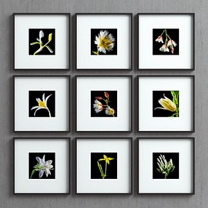 picture frames set -40 3D