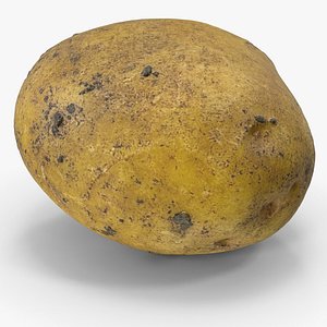 Potato 3D model
