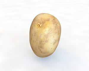 3D potato