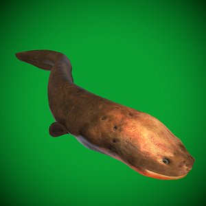 Electric Eel Fish
