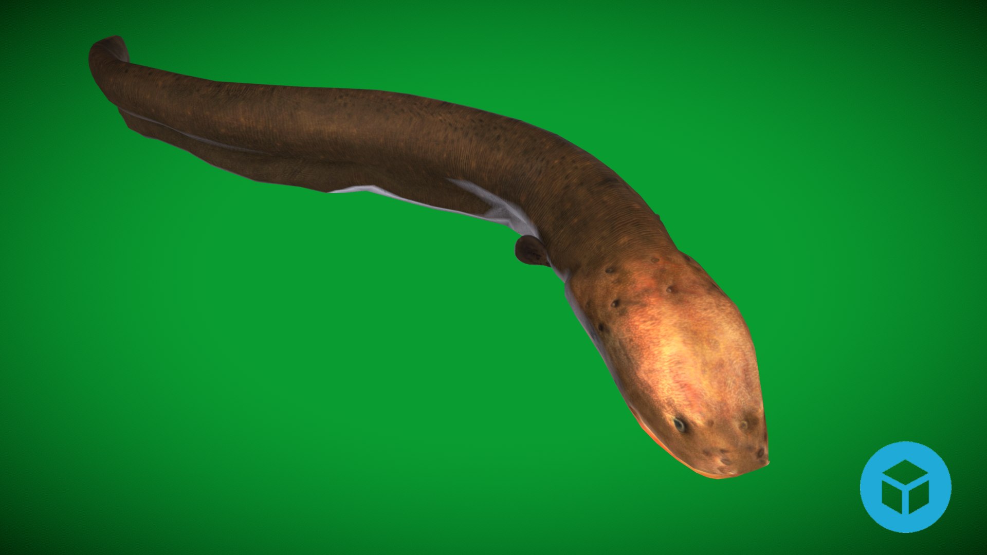 3D Electric Eel Fish Model - TurboSquid 2341065