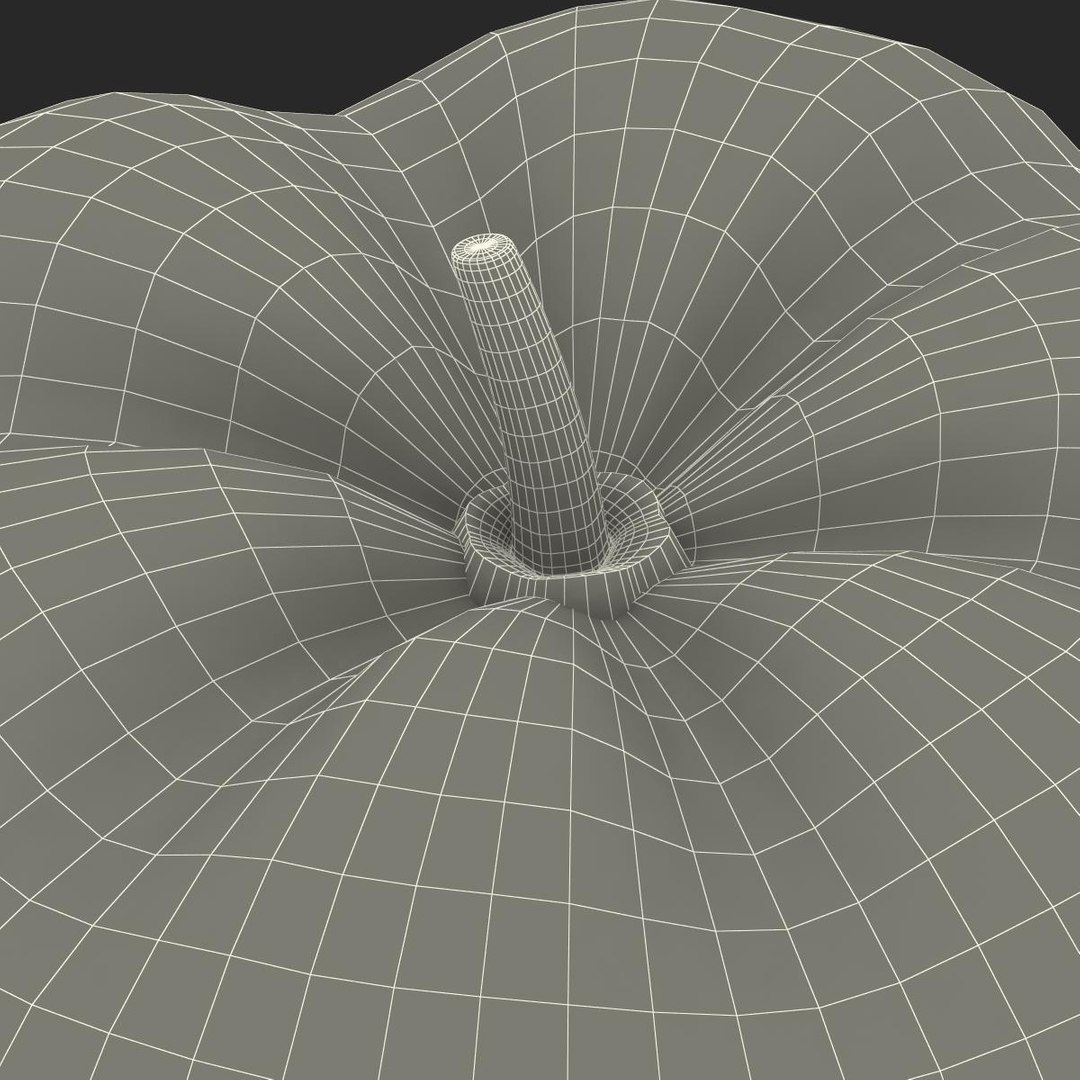 3d max kitchen timer pepper