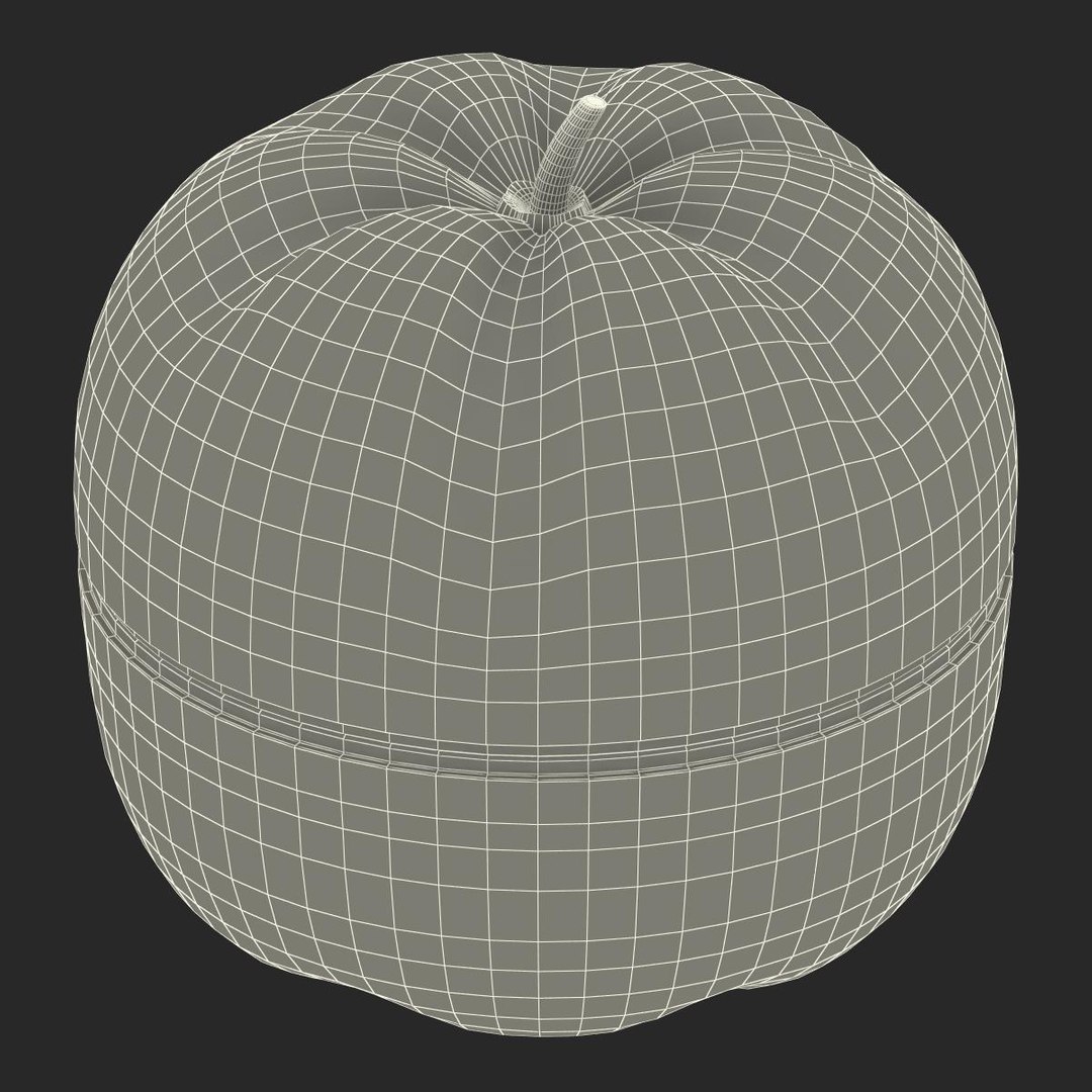 3d max kitchen timer pepper