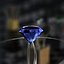 Diamants