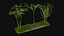 Three bamboos