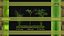 Three bamboos