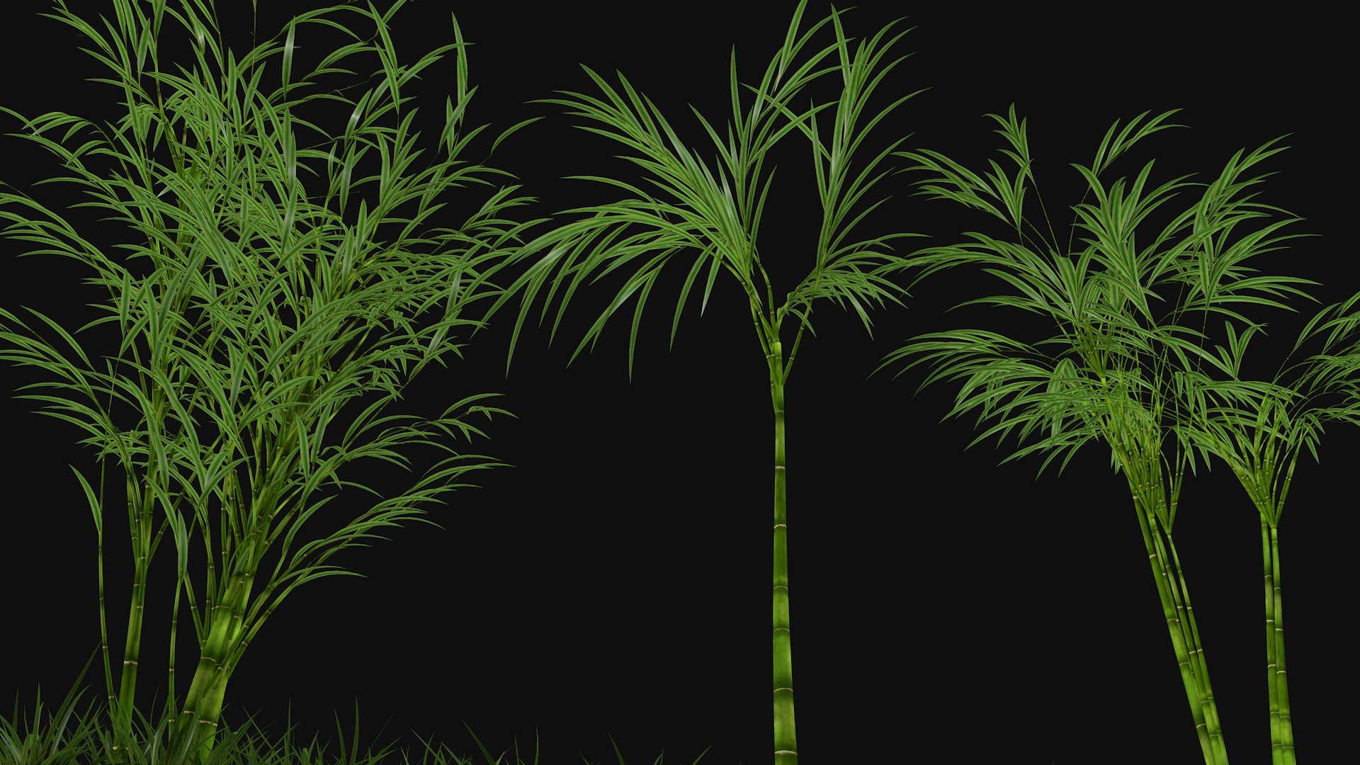 3D model Three bamboos https://p.turbosquid.com/ts-thumb/DV/aUAGxM/sT/threebamboos6/jpg/1747733758/1920x1080/fit_q87/a3f15ba01f70542a908e54d939c1cc01aacd1b70/threebamboos6.jpg