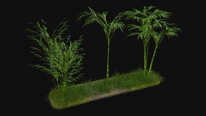 3D model Three bamboos
