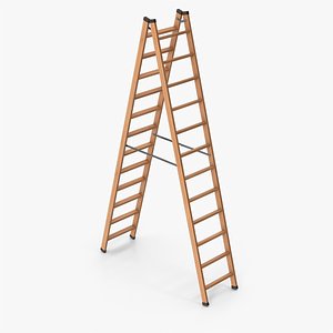 Wooden Ladder 3D