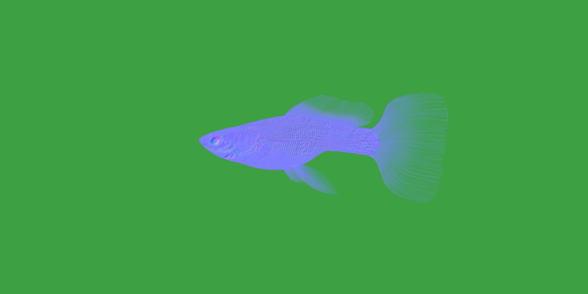 3D Guppy Fish model https://p.turbosquid.com/ts-thumb/DV/ts0nQr/6A/guppy_fish10/png/1734898885/1920x1080/fit_q87/5445ed2b1872e64f1a268aee3774711eab3efca0/guppy_fish10.jpg