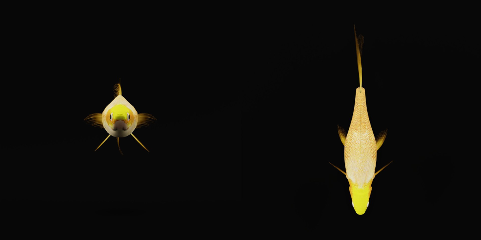 3D Guppy Fish model https://p.turbosquid.com/ts-thumb/DV/ts0nQr/GY/guppy_fish16/png/1734898888/1920x1080/fit_q87/3e161ef6c5b014fd15ad0b1aa1e5f4796a762693/guppy_fish16.jpg