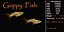 Guppy Fish