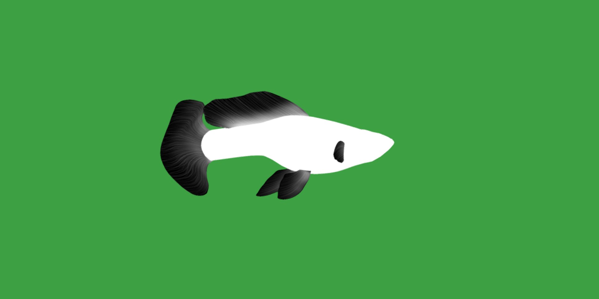 3D Guppy Fish model https://p.turbosquid.com/ts-thumb/DV/ts0nQr/MI/guppy_fish15/png/1734898887/1920x1080/fit_q87/cc24145645d85ed32dd247e610802099ae24bfc4/guppy_fish15.jpg