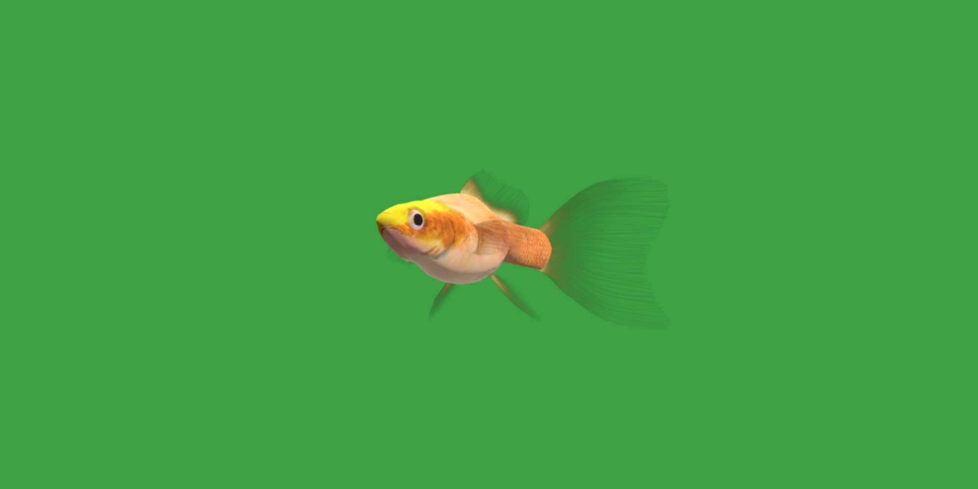 3D Guppy Fish model https://p.turbosquid.com/ts-thumb/DV/ts0nQr/NT/guppy_fish2/png/1734898913/1920x1080/fit_q87/b5727ce62eb4b89b220c84f7bce9b403fc484e0c/guppy_fish2.jpg