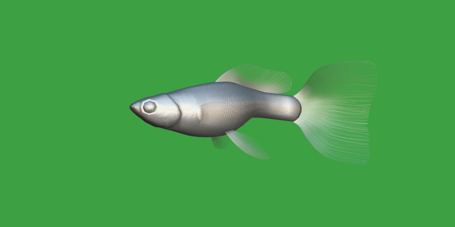 3D Guppy Fish model https://p.turbosquid.com/ts-thumb/DV/ts0nQr/R0/guppy_fish19/png/1734898890/1920x1080/fit_q87/aa893a151b69efb16ce2807062c2b084d895b1c1/guppy_fish19.jpg