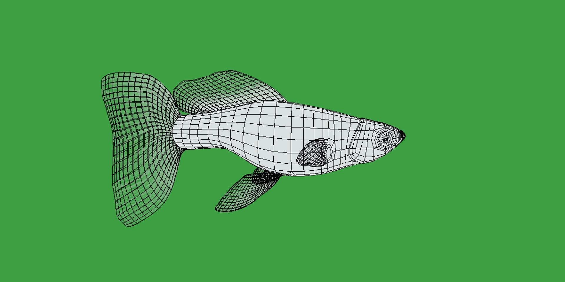 3D Guppy Fish model https://p.turbosquid.com/ts-thumb/DV/ts0nQr/VA/guppy_fish21/png/1734898891/1920x1080/fit_q87/8c757c3c663db2bfe86dd18759f7ffb34eb5c411/guppy_fish21.jpg