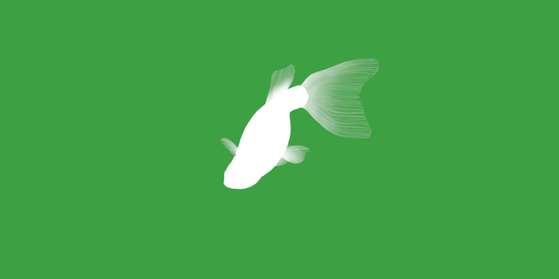3D Guppy Fish model https://p.turbosquid.com/ts-thumb/DV/ts0nQr/YM/guppy_fish13/png/1734898886/1920x1080/fit_q87/3fd04eb07a2487d6d2c00f3e0b83858a4aff92ed/guppy_fish13.jpg