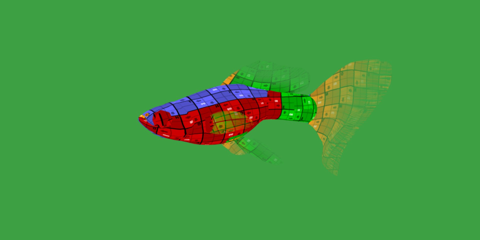 3D Guppy Fish model https://p.turbosquid.com/ts-thumb/DV/ts0nQr/aq/guppy_fish23/png/1734898893/1920x1080/fit_q87/5db449c451d8f64c9d11fbca5af29c7639b2d127/guppy_fish23.jpg