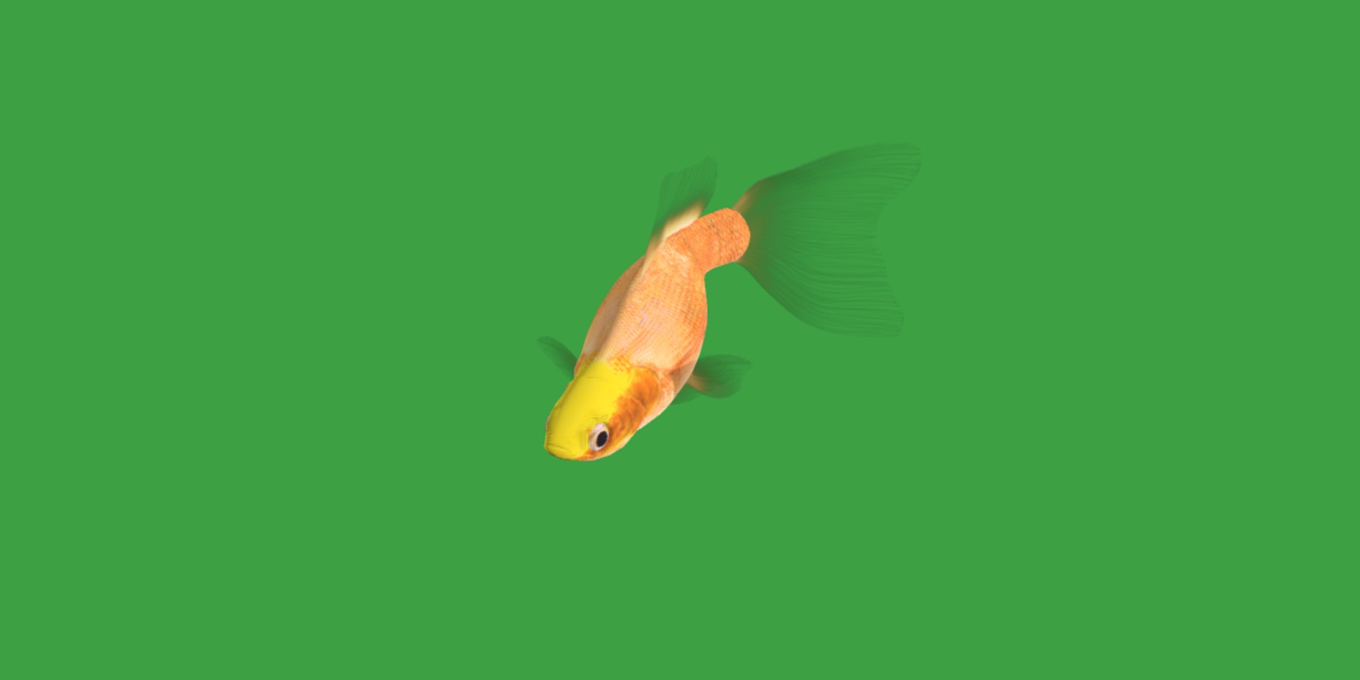 3D Guppy Fish model https://p.turbosquid.com/ts-thumb/DV/ts0nQr/lB/guppy_fish12/png/1734898885/1920x1080/fit_q87/63c5ffcebd5e4c4f2936b8d4341bcf3a0064275b/guppy_fish12.jpg
