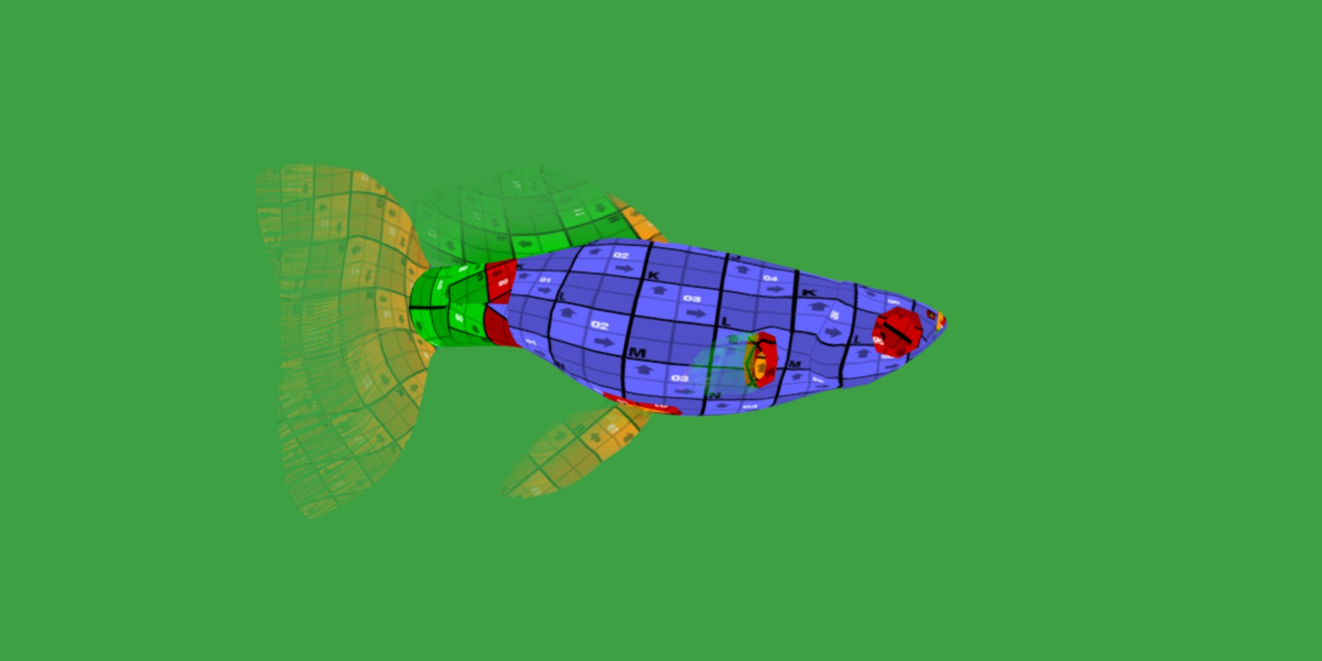3D Guppy Fish model https://p.turbosquid.com/ts-thumb/DV/ts0nQr/o3/guppy_fish24/png/1734898895/1920x1080/fit_q87/d306964e5a5021fa324806d877456a24d825c28a/guppy_fish24.jpg