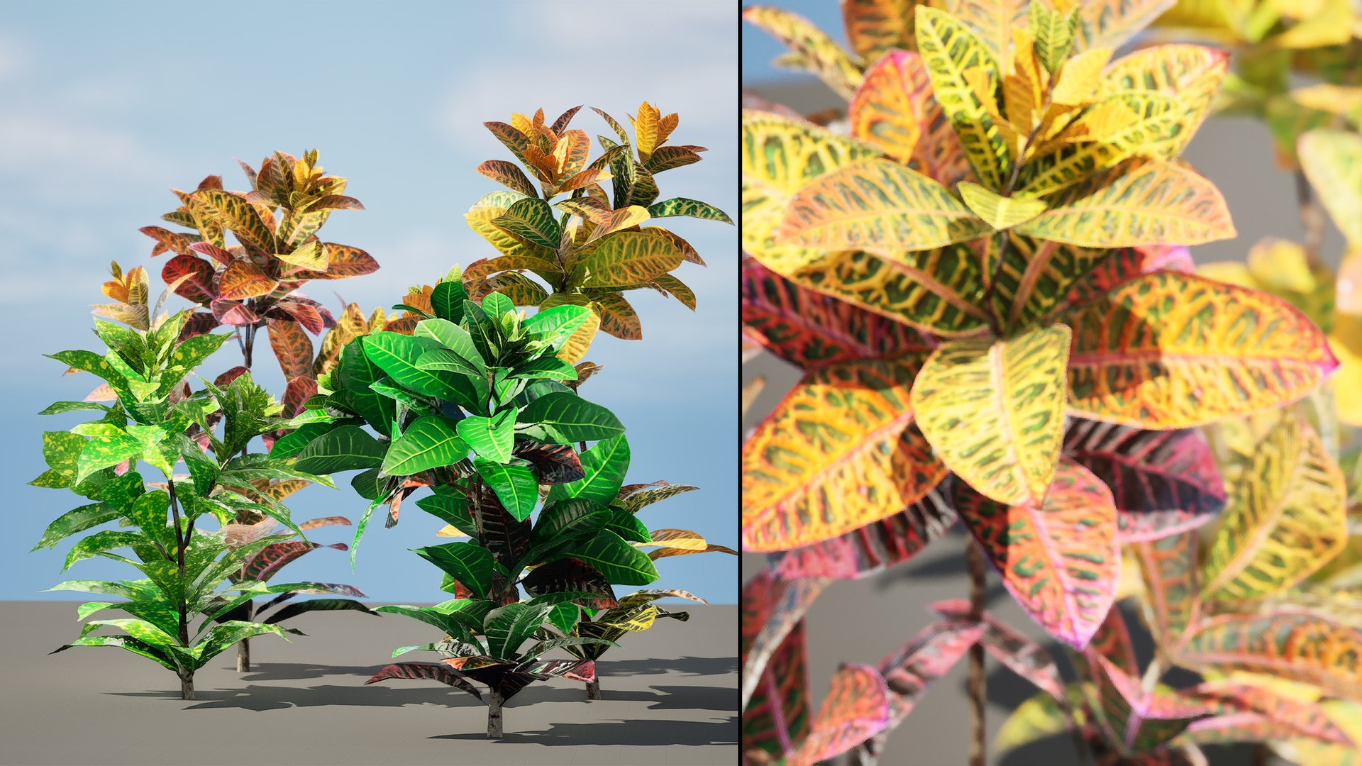 3D model Low-Poly Tropical Croton Plant Asset with free tutorial https://p.turbosquid.com/ts-thumb/DW/BrgLNH/Jb/artcover03/jpg/1708041124/1920x1080/fit_q87/d8841f86f56e3580f0079ea6a402976364b7f1e2/artcover03.jpg