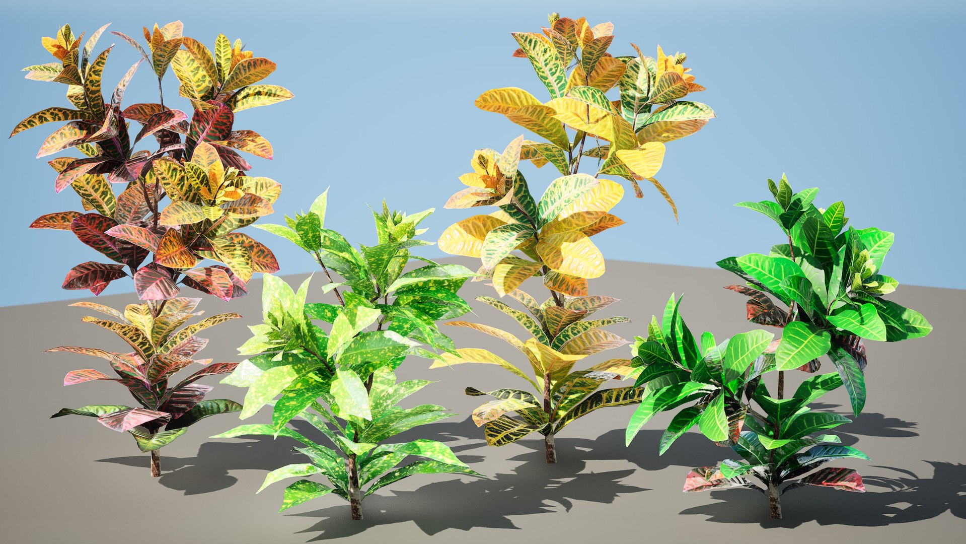 3D model Low-Poly Tropical Croton Plant Asset with free tutorial https://p.turbosquid.com/ts-thumb/DW/BrgLNH/Ws/highresscreenshot00002/jpg/1708041136/1920x1080/fit_q87/1e6165d56063264b231ff28be8e92186caed2b78/highresscreenshot00002.jpg