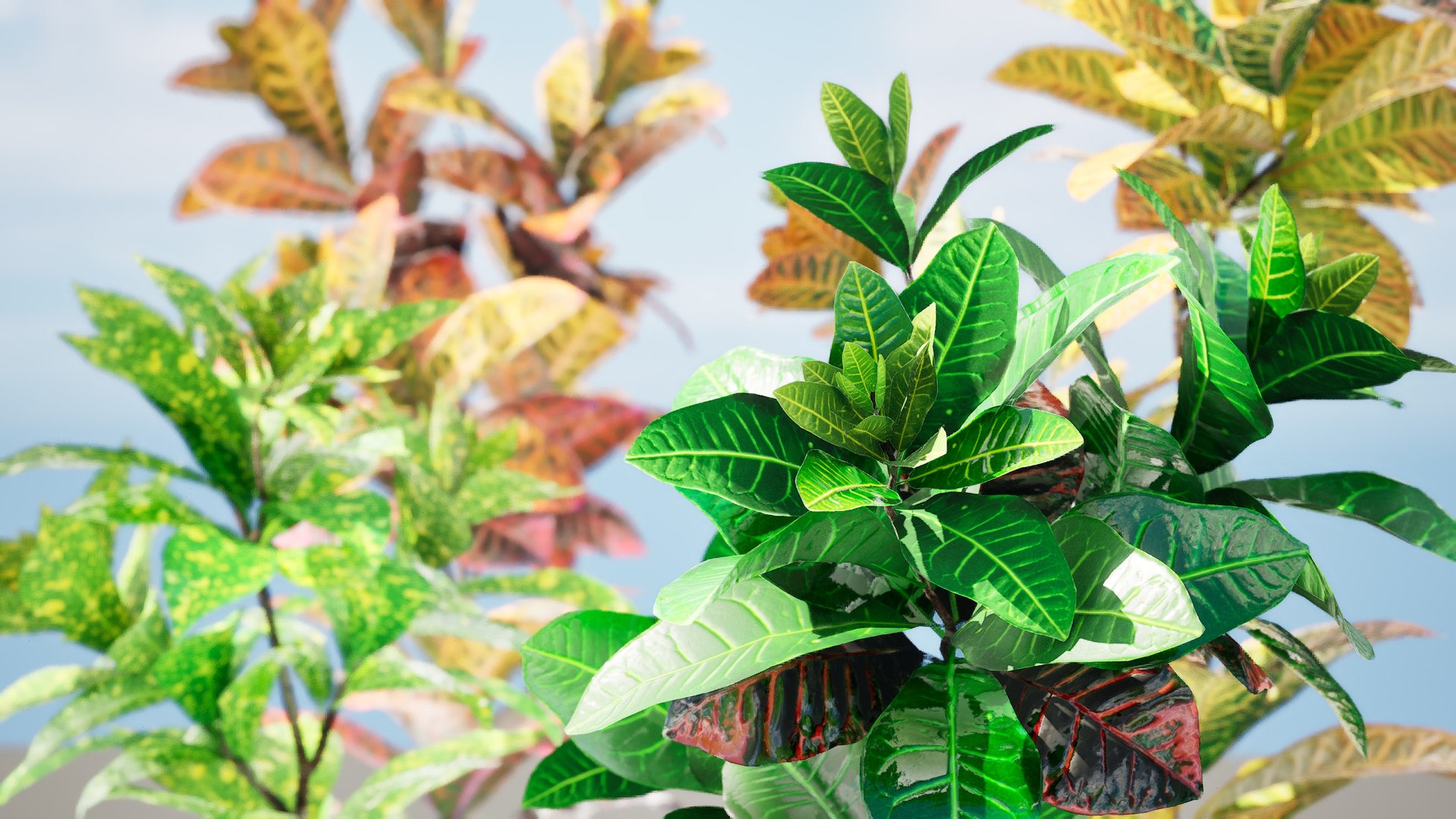 3D model Low-Poly Tropical Croton Plant Asset with free tutorial https://p.turbosquid.com/ts-thumb/DW/BrgLNH/uY/highresscreenshot00000/jpg/1708041133/1920x1080/fit_q87/27bc15ac50af477bc6491e3027e3d66dd6f130f4/highresscreenshot00000.jpg