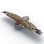Gurney Eagle modelo 3D