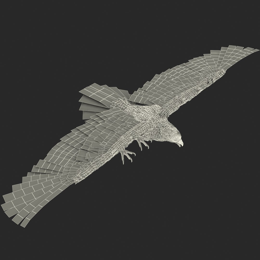 3d model gurney eagle https://p.turbosquid.com/ts-thumb/DW/LhaYfZ/NWFoSU6O/gurneyeagle3dmodel28/jpg/1447079491/1920x1080/fit_q87/d19dd7ed698044ab29b7e63ad5c676634e34357f/gurneyeagle3dmodel28.jpg