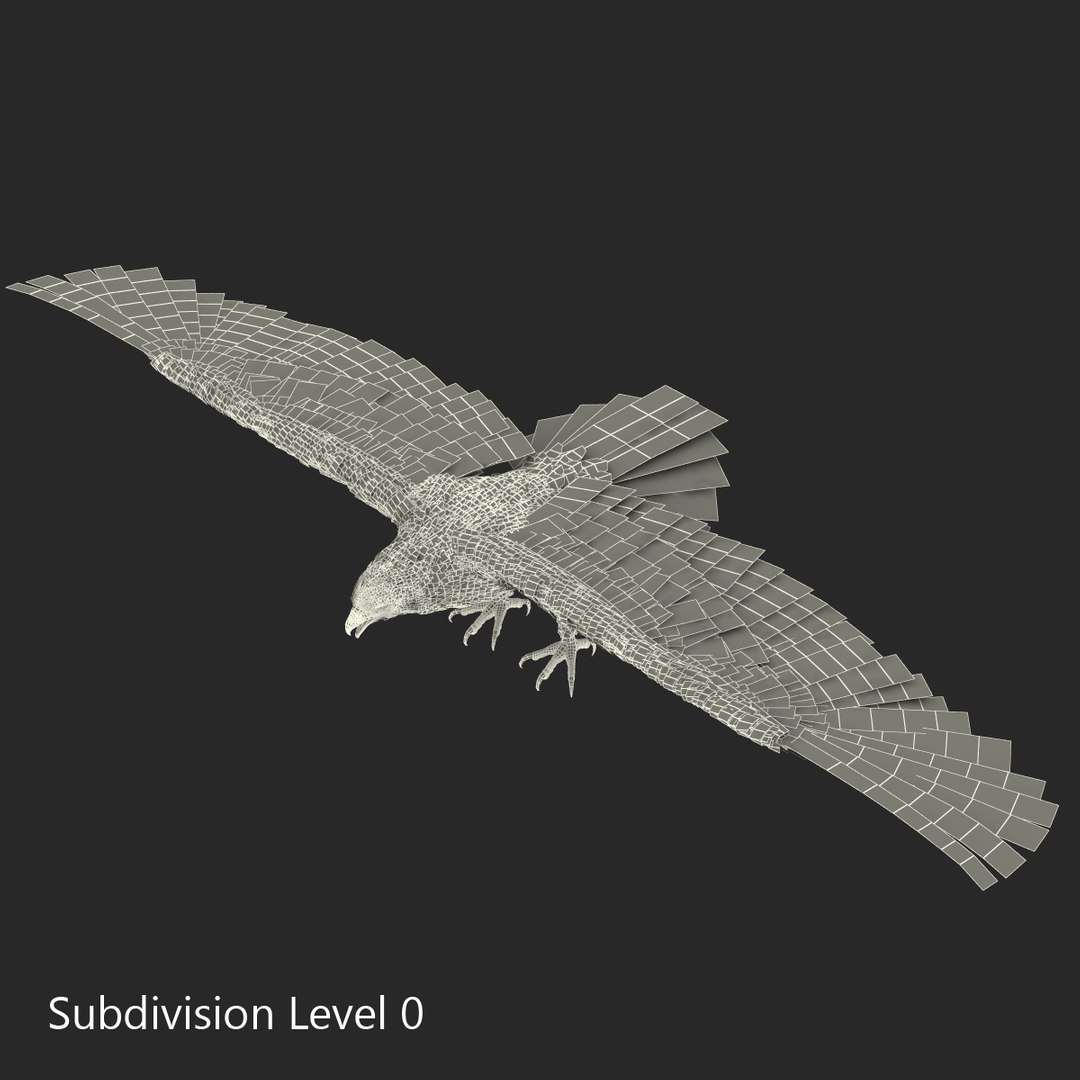 3d model gurney eagle https://p.turbosquid.com/ts-thumb/DW/LhaYfZ/Saf2rYll/gurneyeagle3dmodel21/jpg/1447079491/1920x1080/fit_q87/4a7fab4444d2192142989cd943359877df7b5368/gurneyeagle3dmodel21.jpg