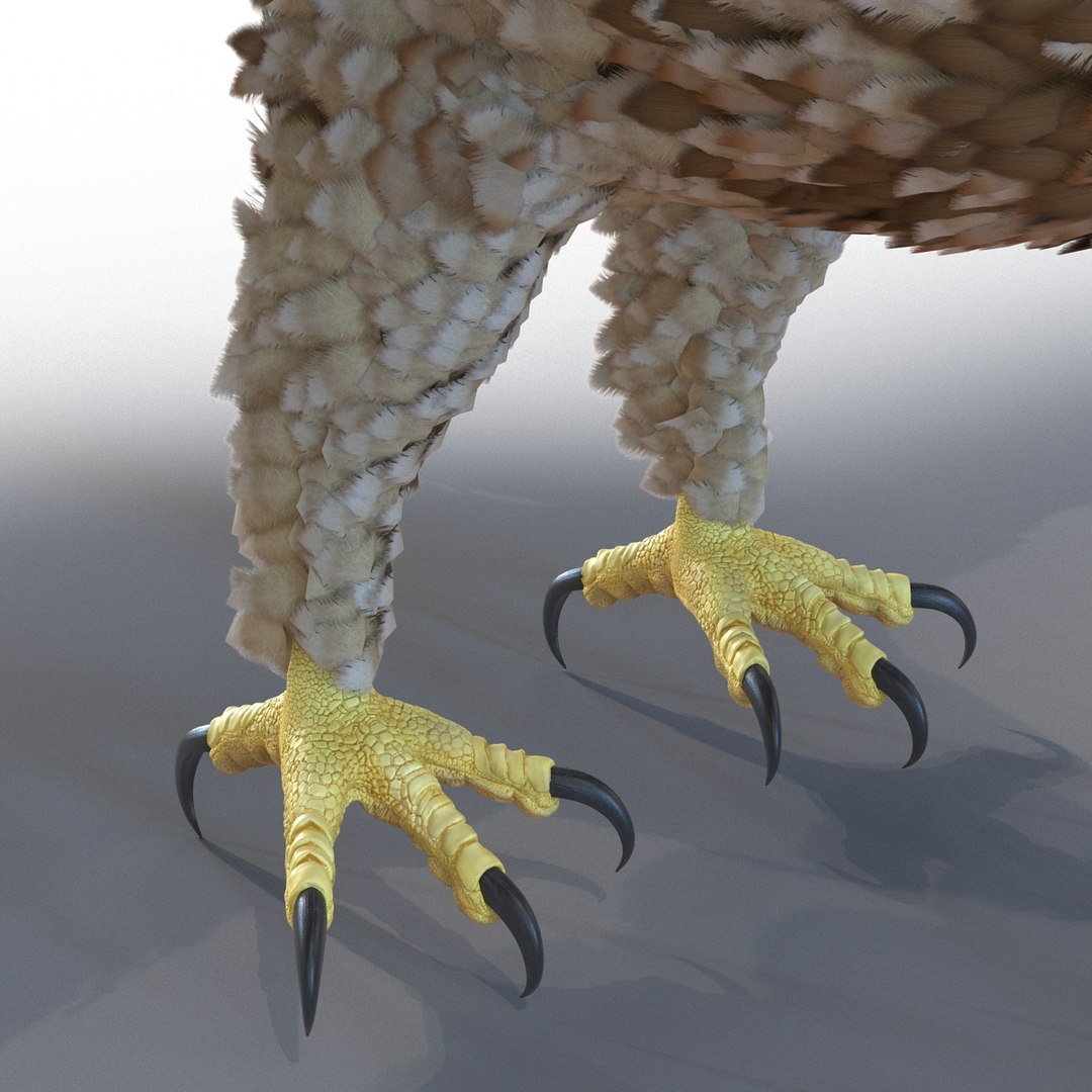3d model gurney eagle https://p.turbosquid.com/ts-thumb/DW/LhaYfZ/jP3VZ6kl/gurneyeagle3dmodel16/jpg/1447079490/1920x1080/fit_q87/4a74f1fe62ec1933a1ad603efa1d14b6851d5cde/gurneyeagle3dmodel16.jpg