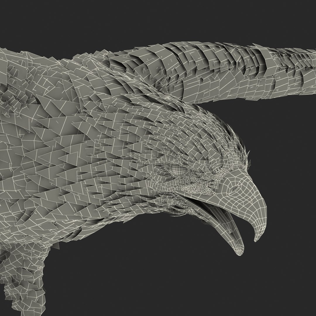 3d model gurney eagle https://p.turbosquid.com/ts-thumb/DW/LhaYfZ/xwZekGpR/gurneyeagle3dmodel37/jpg/1447079492/1920x1080/fit_q87/0d4a16865772ebc73943f1a9b09aa9241f212c00/gurneyeagle3dmodel37.jpg