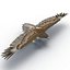 Gurney Eagle modelo 3D