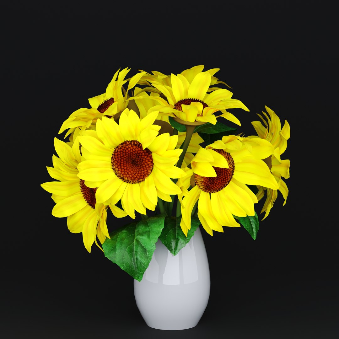 Indoor Sunflower Plant  Flower in a Pot 3D model https://p.turbosquid.com/ts-thumb/DW/d2OKlY/0T/1/jpg/1697481469/1920x1080/fit_q87/ead86841f297418d808b4ac5784769dc357e194d/1.jpg