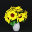 Indoor Sunflower Plant  Flower in a Pot
