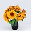 Indoor Sunflower Plant  Flower in a Pot