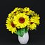 Indoor Sunflower Plant  Flower in a Pot