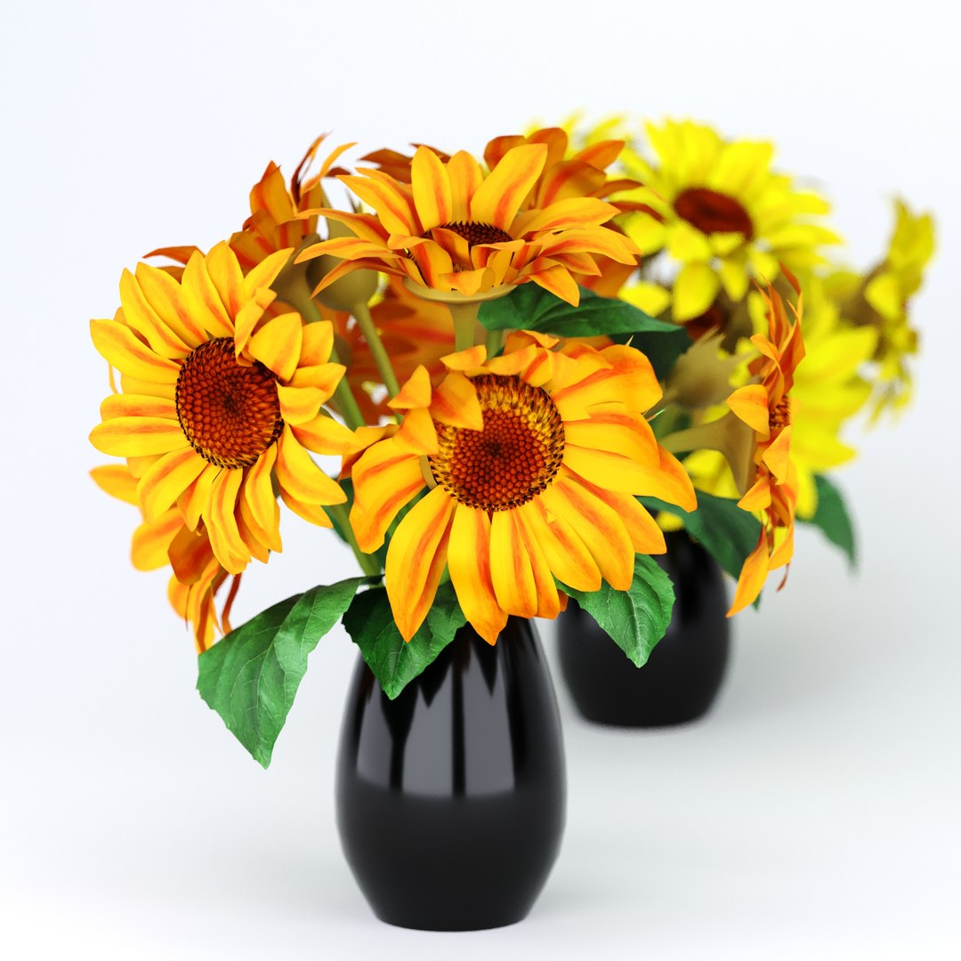Indoor Sunflower Plant  Flower in a Pot 3D model https://p.turbosquid.com/ts-thumb/DW/d2OKlY/BO/8/jpg/1697481475/1920x1080/fit_q87/f32bde3793d8c3c8a70d608f535fe6c64d5e4b98/8.jpg