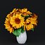 Indoor Sunflower Plant  Flower in a Pot