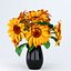Indoor Sunflower Plant  Flower in a Pot