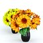 Indoor Sunflower Plant  Flower in a Pot