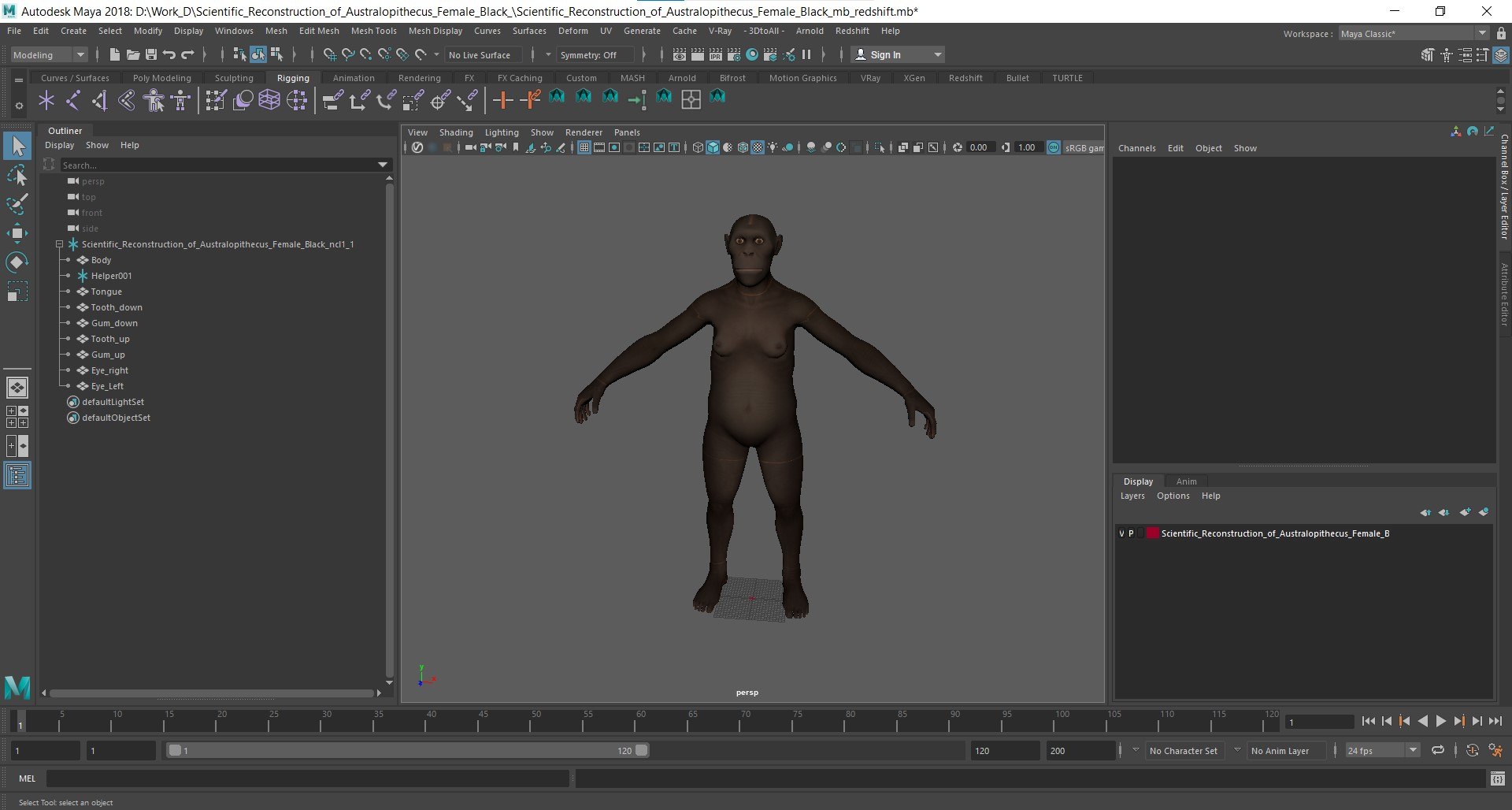 3D Scientific Reconstruction of Australopithecus Female Black https://p.turbosquid.com/ts-thumb/DW/f709Ht/9n/scientific_reconstruction_of_australopithecus_female_black_1002/jpg/1752706963/1920x1080/fit_q87/682f8718e2fff3118c043b2dcd9e146731cf4145/scientific_reconstruction_of_australopithecus_female_black_1002.jpg
