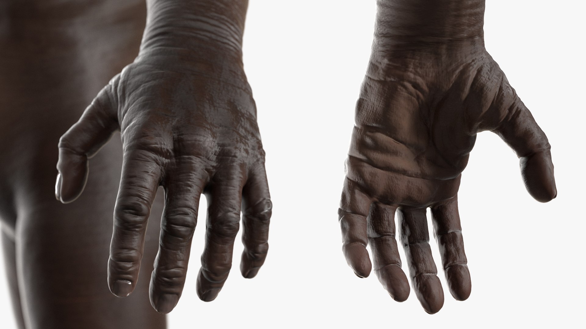 3D Scientific Reconstruction of Australopithecus Female Black https://p.turbosquid.com/ts-thumb/DW/f709Ht/ZG/scientific_reconstruction_of_australopithecus_female_black_009/jpg/1752706929/1920x1080/fit_q87/22a27707c2d0a808aa8e7261a20cabfff5e1880f/scientific_reconstruction_of_australopithecus_female_black_009.jpg