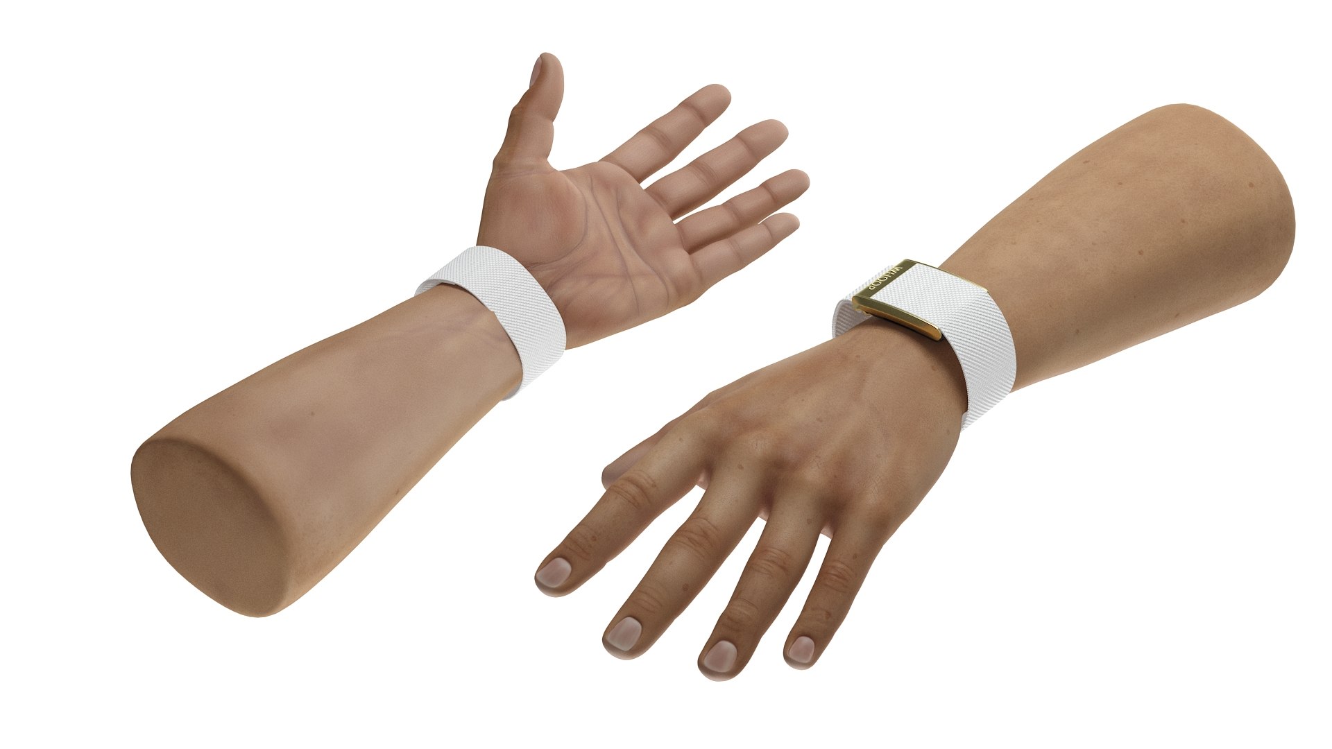 3D Hand Wearing Whoop 4 Tracker White Model TurboSquid 2116181