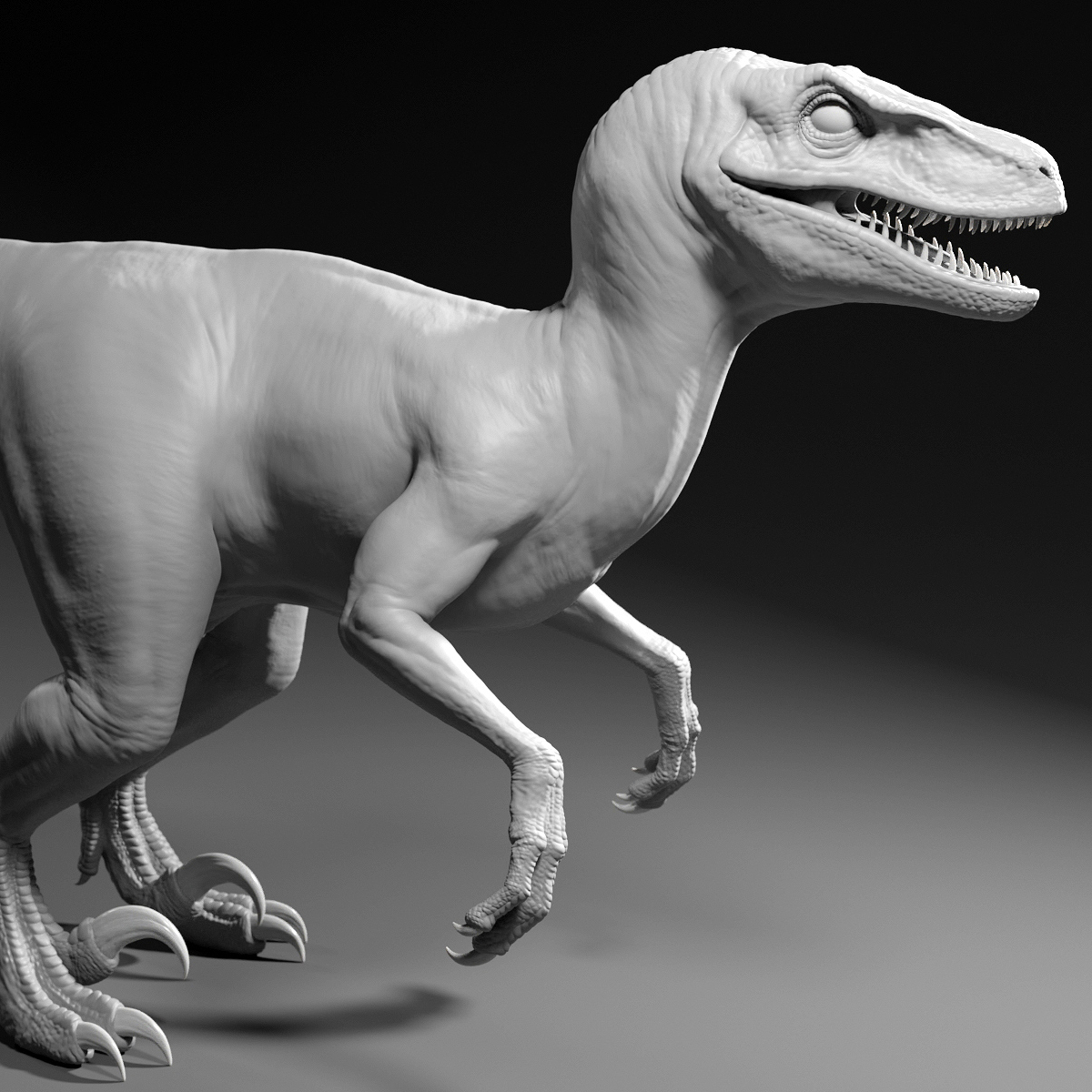 modelo 3d Malla base de raptor - TurboSquid 2168100